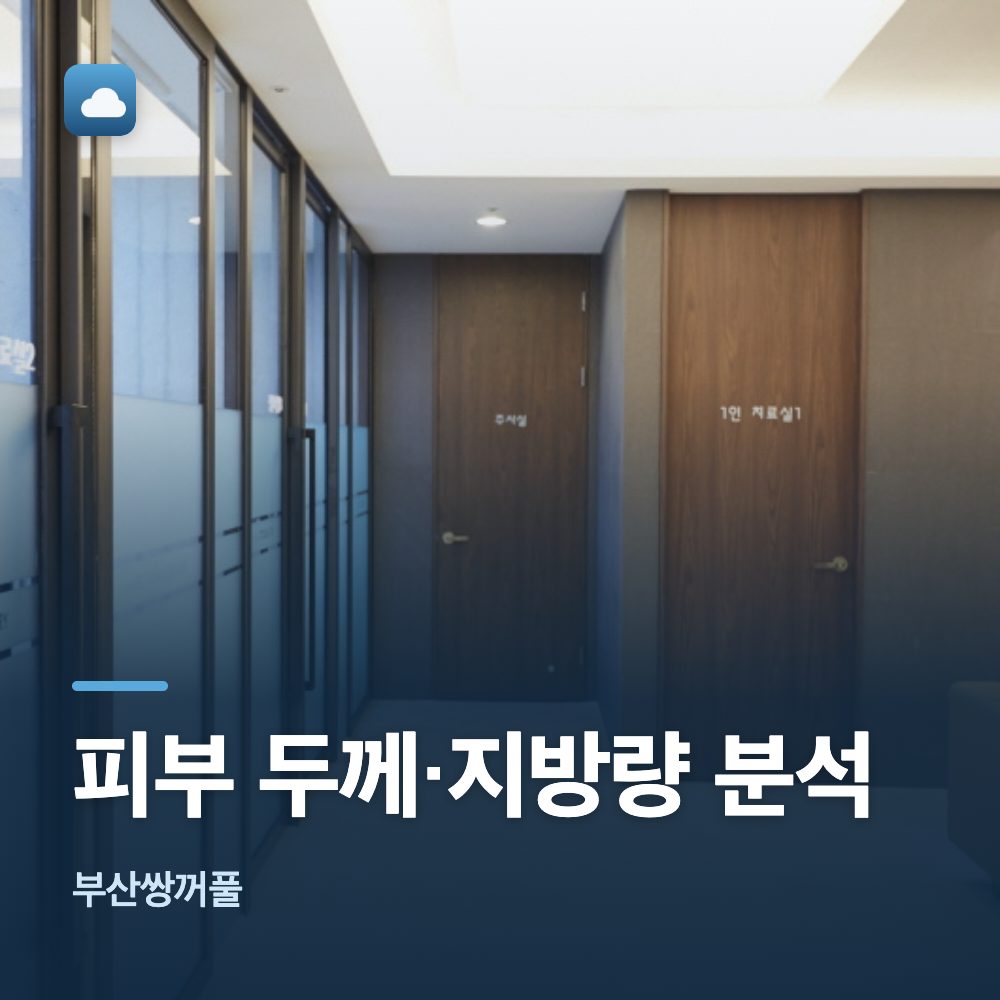 부산쌍꺼풀 피부 두께·지방량 분석