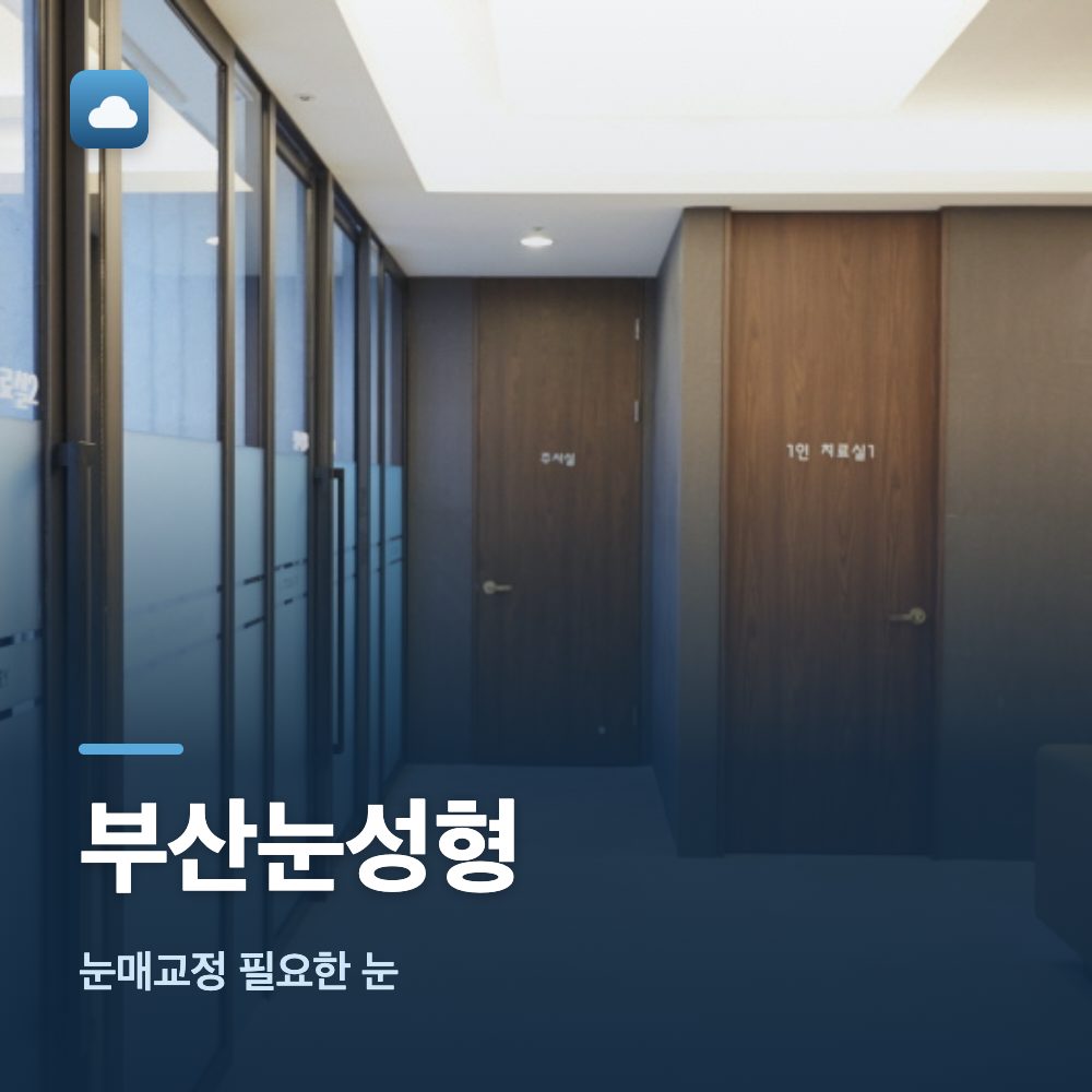 부산눈성형 눈매교정 필요한 눈